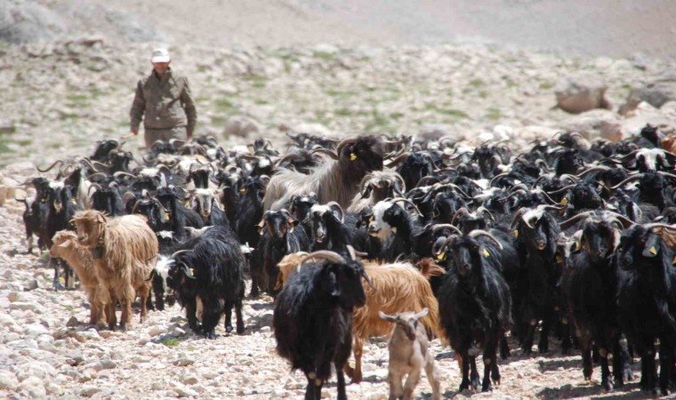 Antalyada Yörüklerin yayladan dönüşü başladı