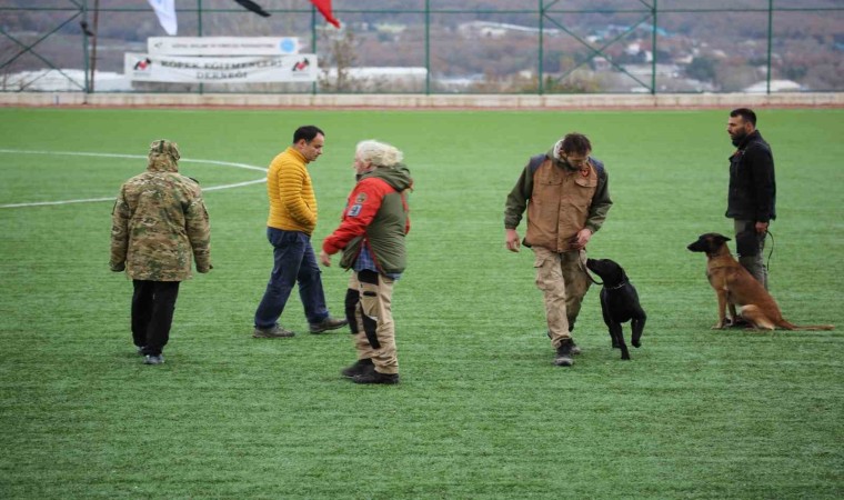 Arama kurtarma köpekleri hakem semineri Çekmeköyde düzenlendi