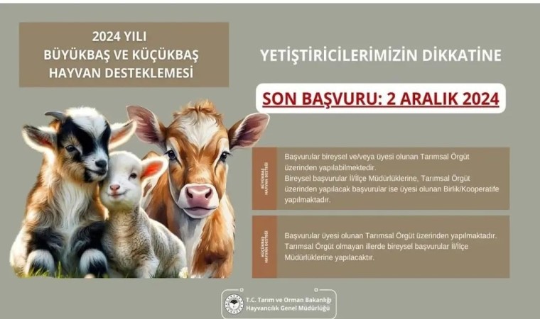 Aydın İl Tarım ve Orman Müdürlüğünden destekleme başvuruları için son gün uyarısı