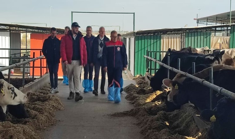 Aydında ABye ihracat onaylı çiftliklerde incelemelerde bulunuldu