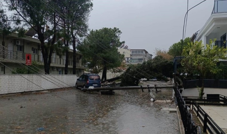 Balıkesirde yağmur etkili oldu