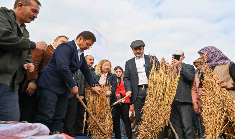 Balıkesirli susam üreticilerine büyük destek