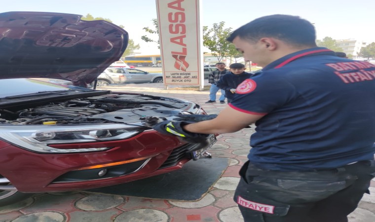 Batmanda araç motoruna giren kedi kurtarıldı