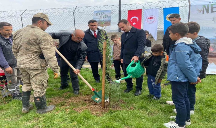 Batmanda fidan dikme etkinliği