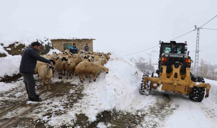 Battalgazi Belediyesi Karagöz Mahallesinde seferberlik başlattı