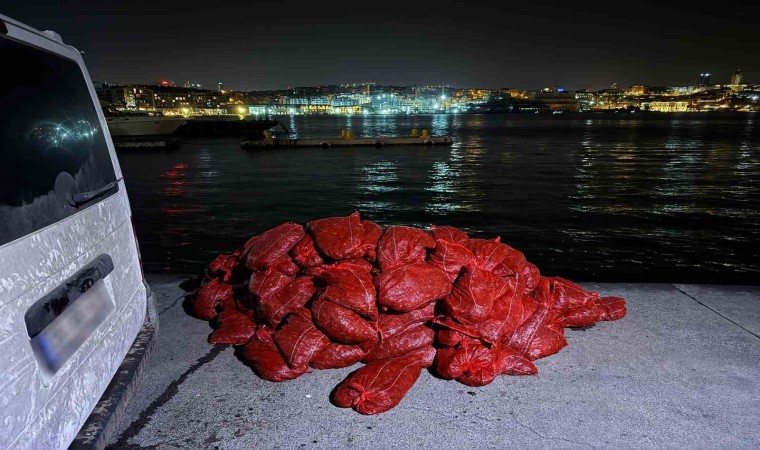 Beyoğlunda 3 ton kaçak midye ele geçirildi