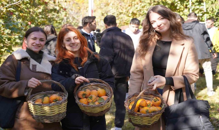 Bilecikte 6 yıl önce deneme amaçlı dikilen hurma fideleri ilk meyvelerini verdi