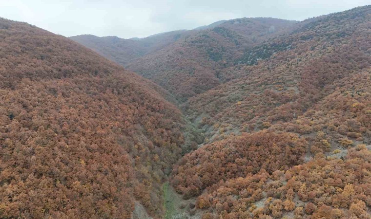 Bilecikte sonbahar manzaralarını görenler hayran kalıyor