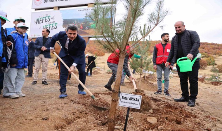 Bingölde binlerce fidan, toprak ile buluştu