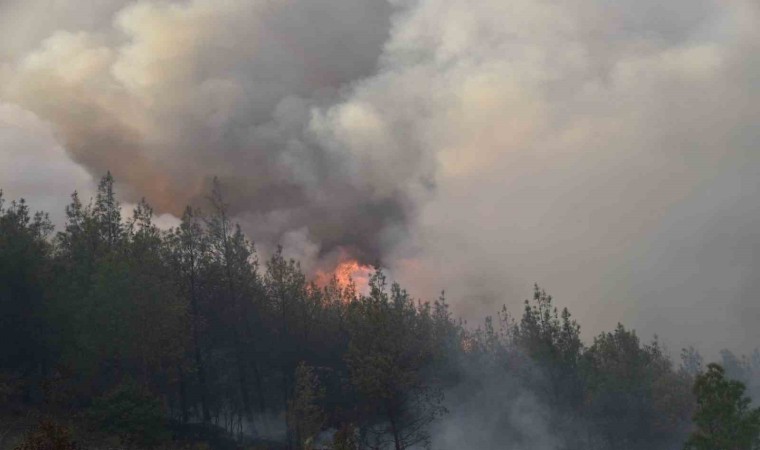 Bursada başlayan orman yangını Balıkesire sıçradı