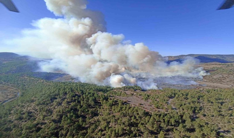 Bursada orman yangını: Havadan ve karadan müdahale devam ediyor