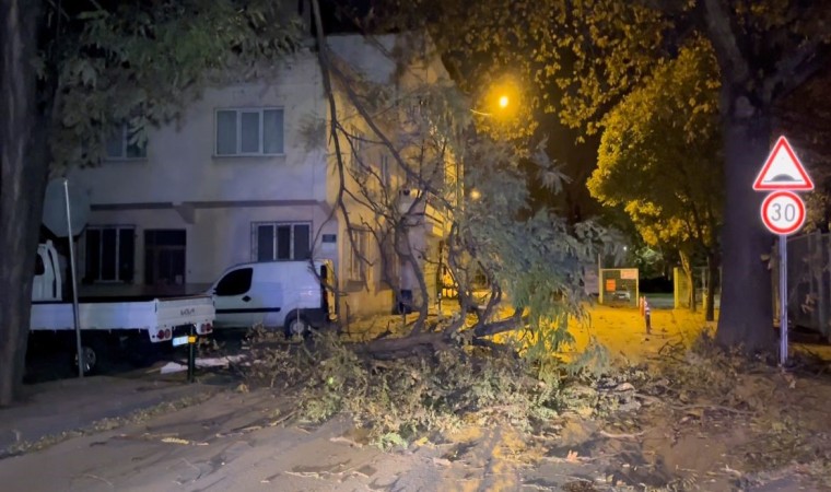 Bursada şiddetli rüzgar ağacı devirdi, yol kapandı