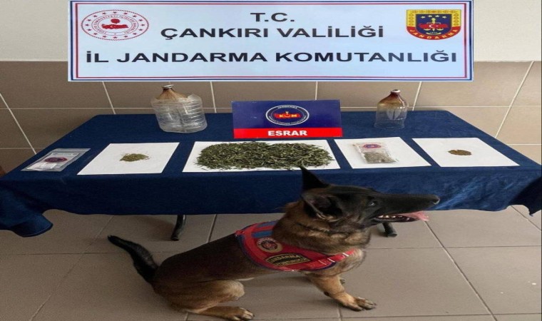 Çankırıda aranan 114 şahıs yakalandı