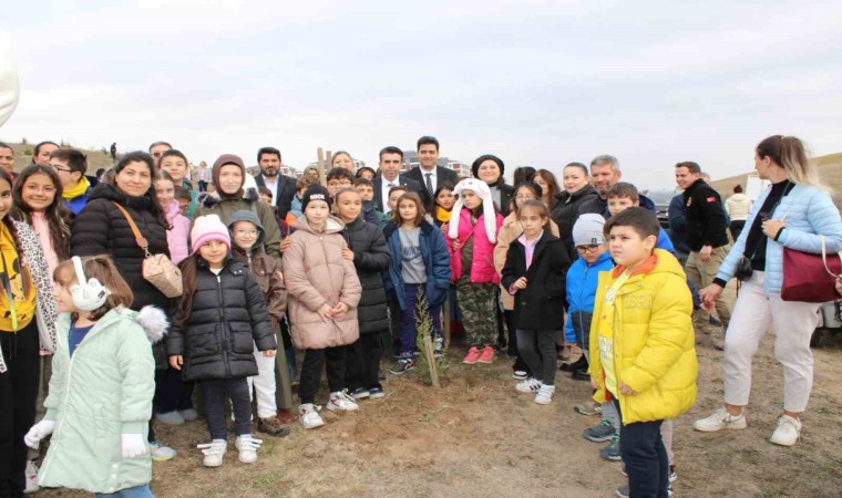 Çorluda tohumlar fidana, fidanlar Cumhuriyet çınarına dönüşüyor