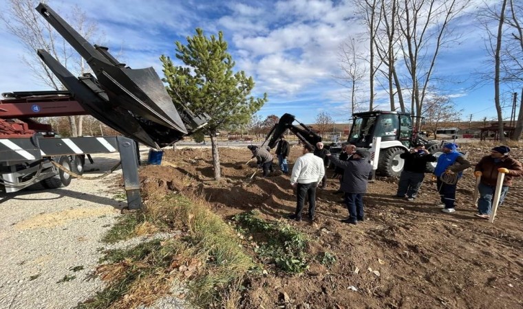 Çorumun gözde mekanlarından olan Veli Çayırındaki otopark yeşille buluşturuluyor