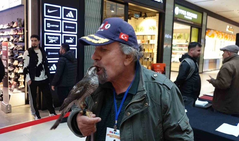 Dişi atmacalar AVMde kendileri için düzenlenen güzellik yarışmasında boy gösterdi