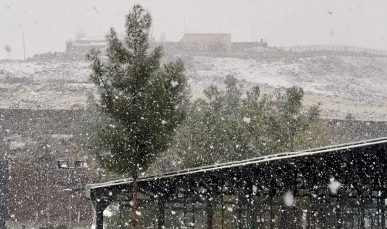 Diyarbakırda lapa lapa kar yağışı