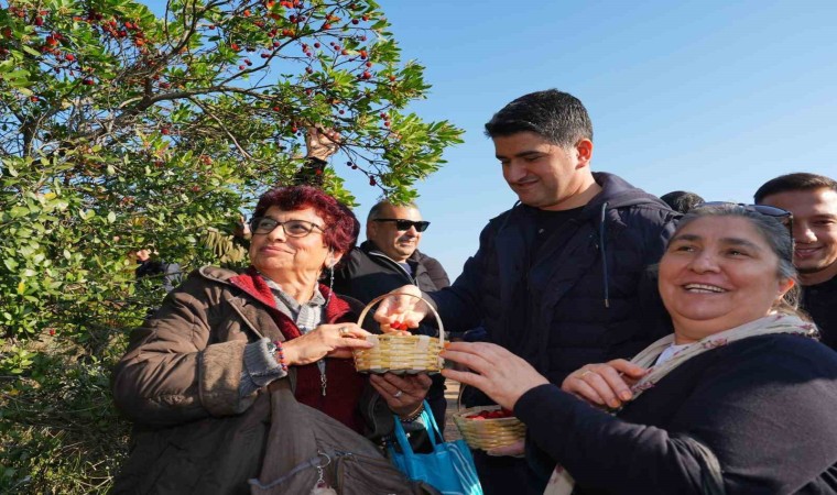 Doğaseverler 438 metre yüksekliğindeki Kayışdağı Ormanında dağ çileği topladı