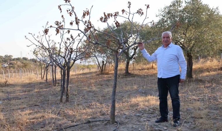 Egede kuraklık alarmı