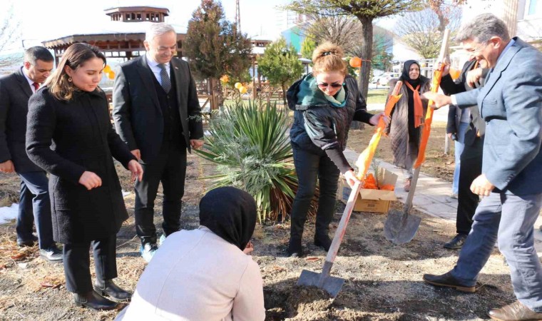 Elazığda kadına yönelik şiddetle mücadele için fidanlar toprakla buluştu