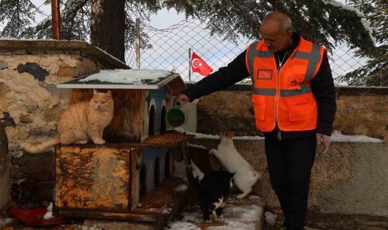 Elazığda sokak hayvanları için doğaya yem bırakıldı