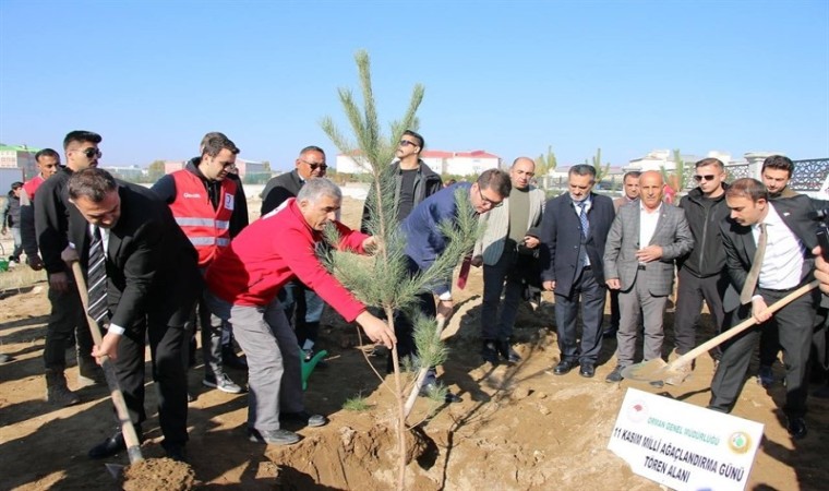 Ercişte fidan dikme etkinliği