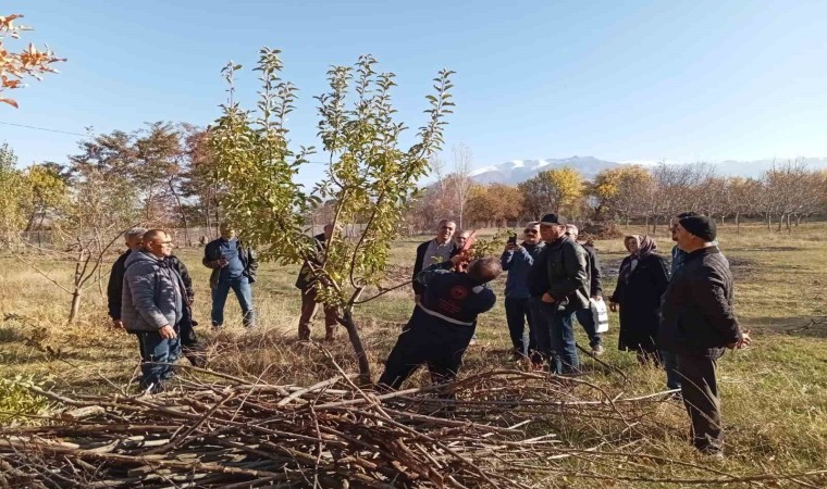 Erzincanda teorik ve pratik budama eğitimleri başlatıldı