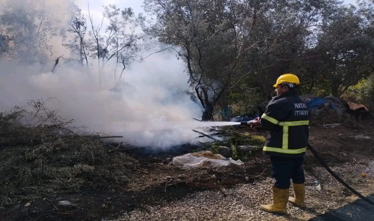 Erzinde zeytin bahçesinde çıkan yangın söndürüldü