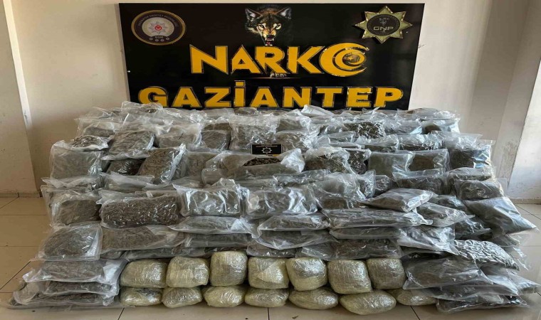 Gaziantepte 104 kilo skunk ele geçirildi