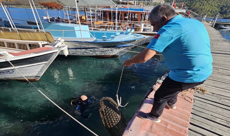 Gökova Körfezinde yasa dışı avcılığa geçit yok