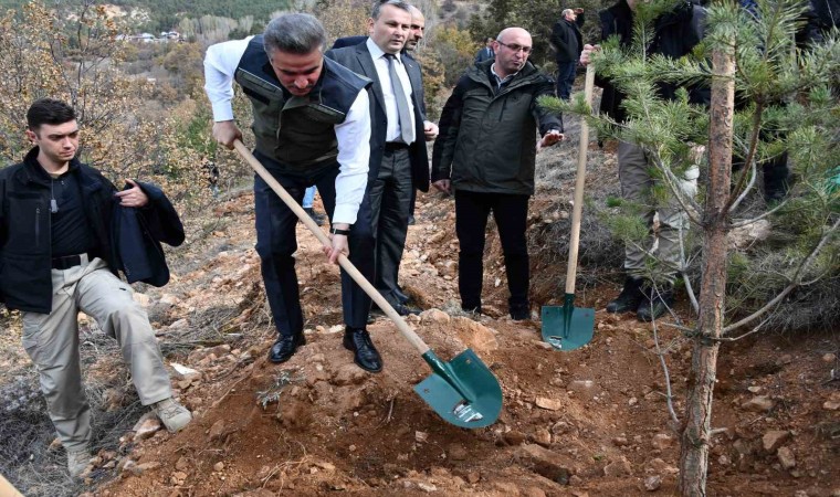 Gümüşhanede binlerce fidan toprakla buluştu