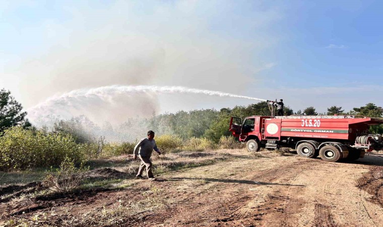 Hatayda orman yangını rüzgarın etkisiyle büyümeye devam ediyor