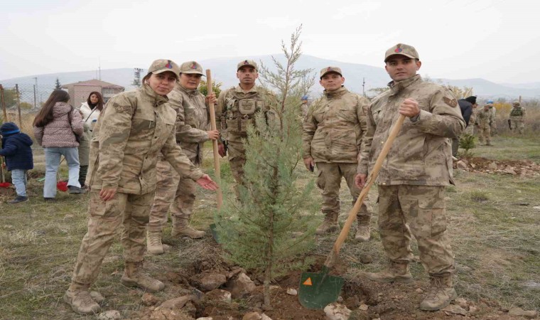 Iğdırda binlerce fidan toprakla buluşturuldu