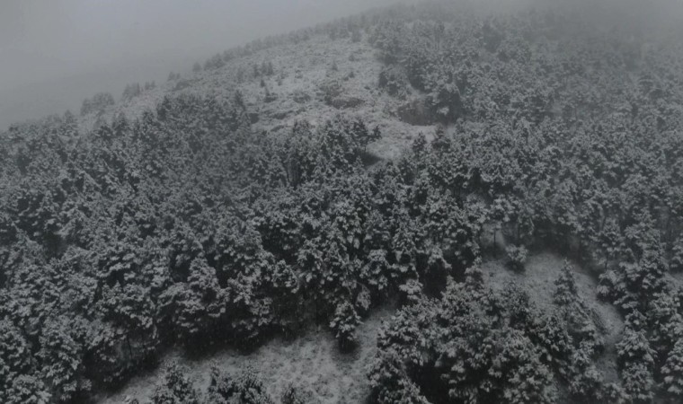 İstanbulda kar yağışı havadan görüntülendi