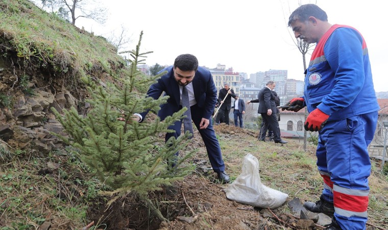 Kağıthanede yeşil gelecek: Her bebek bir ağaçla büyüyor