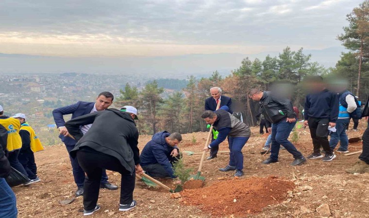 Kahramanmaraşta denetimli hükümlüler fidan dikti