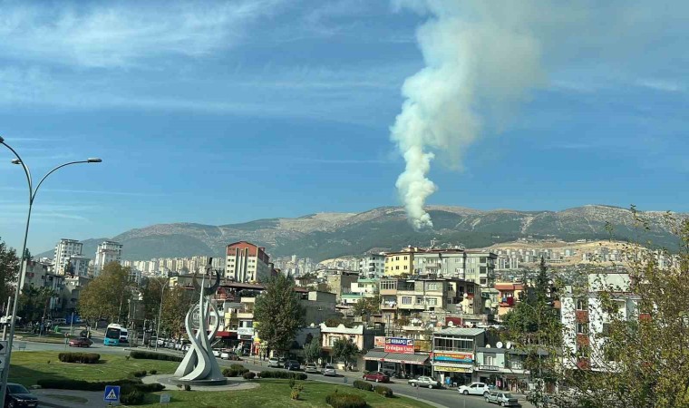 Kahramanmaraşta orman yangını