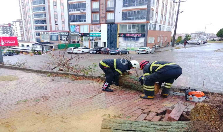 Kahramanmaraşta sağanak ve kar yağışı etkili oldu