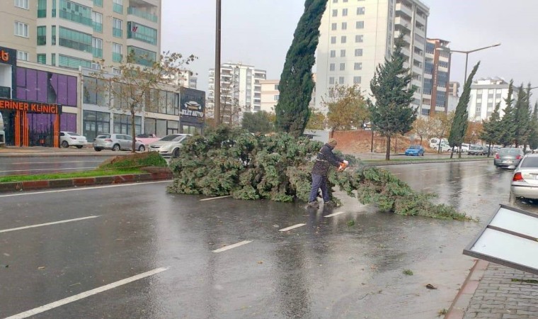 Kahramanmaraştaki fırtına saatte 95 kilometre hıza ulaştı