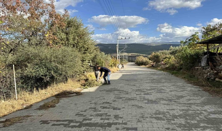 Karacasuda mahalleler temizleniyor