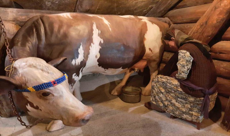 Kars Peynir Müzesi yoğun ilgi görüyor