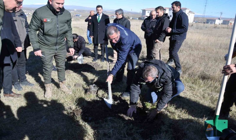 Karsta fidanlar toprakla buluştu