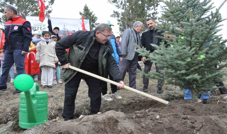 Karsta Milli Ağaçlandırma Günü: 11 bin 500 fidan toprakla buluştu