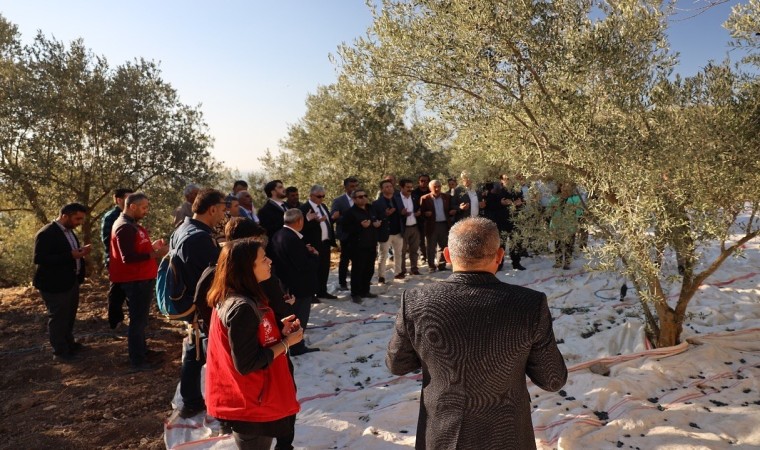 Kavaklıderede zeytin hasat sezonu Hillerima Antik Kentinde dualarla başladı