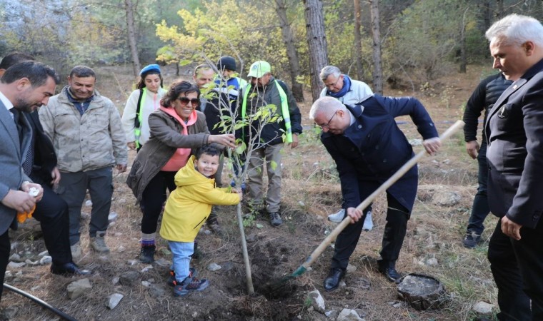 Kazdağlarında Atatürkün anısına fidanlar toprakla buluştu