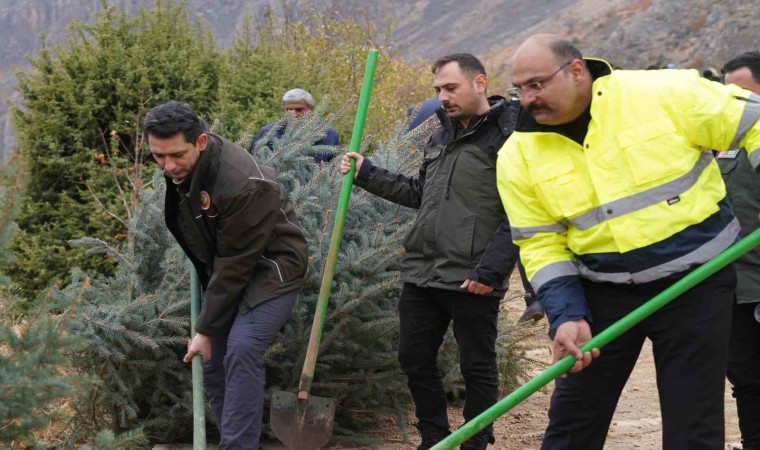 Kemaliyede geleceğe nefes için fidan dikildi