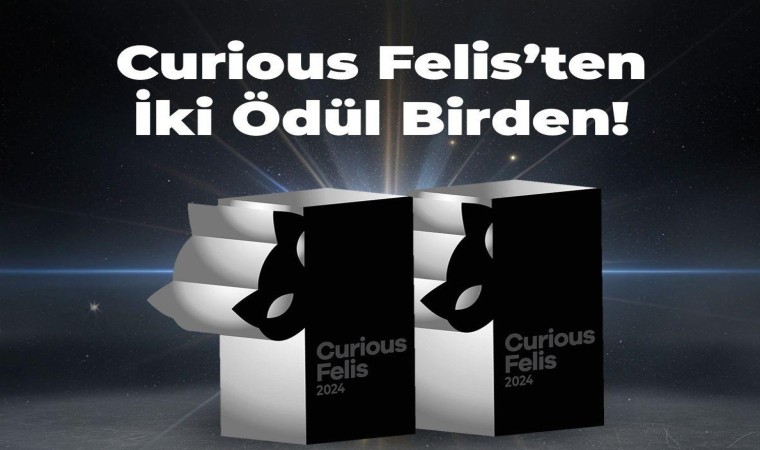 Kiğılıya, Curious Felis 2024ten iki gümüş ödül