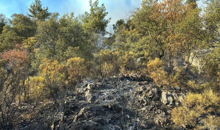 Kumlucadaki orman yangını kısmen kontrol alına alındı