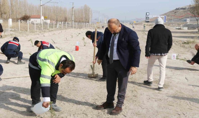 Kütahya OSBde fidanlar toprakla buluştu