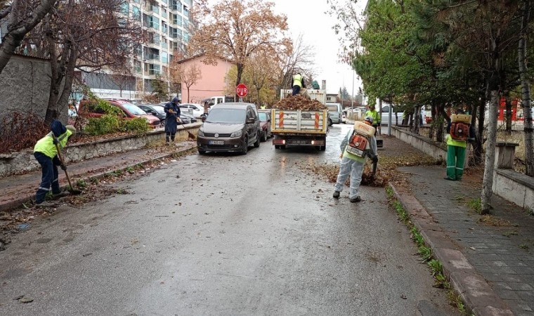 Kütahyada sonbahar temizliği, belediye ekipleri sahada